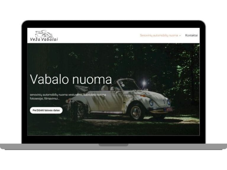 Interneto svetainės atnaujinimas